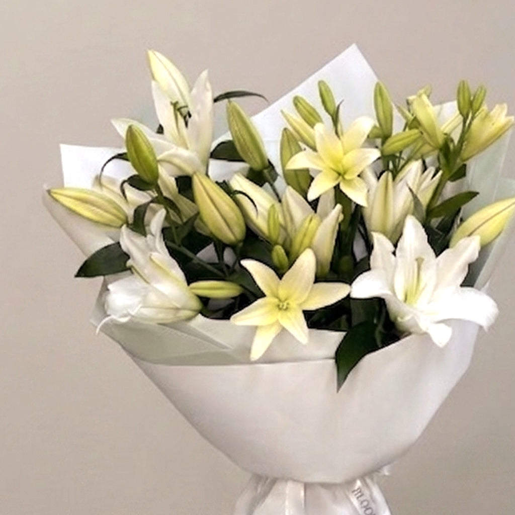 Pristine White Lily Elegance