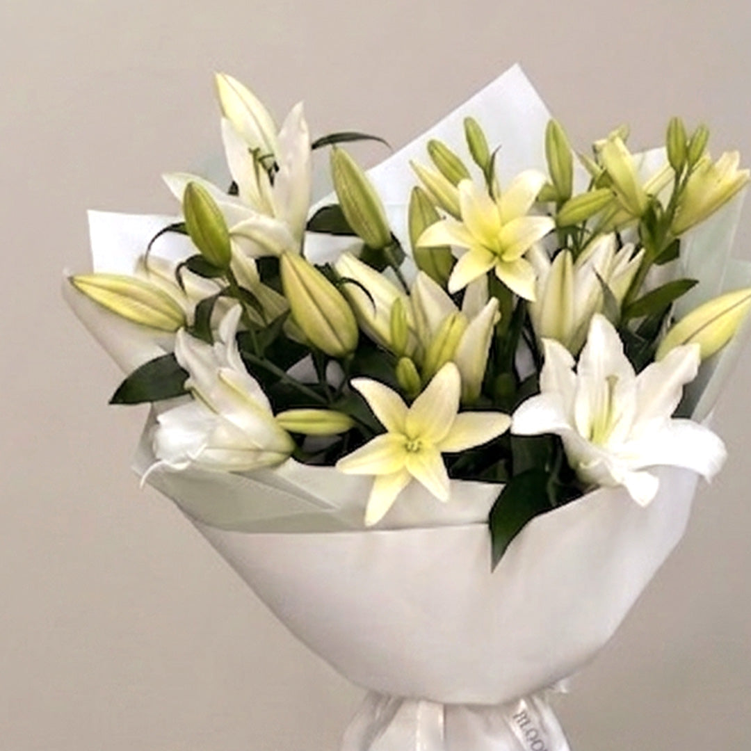 Pristine White Lily Elegance