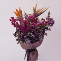 The Wild Orchid & Snapdragon Aurora